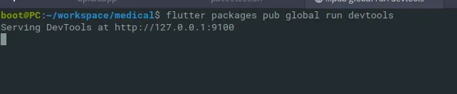 Dart DevTools Terminal Server