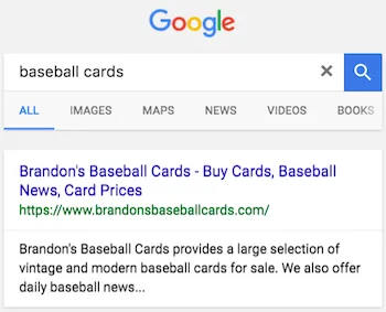 Search Snippet Example